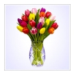 20 barevných tulipánů